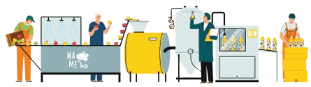 Pasteurisation